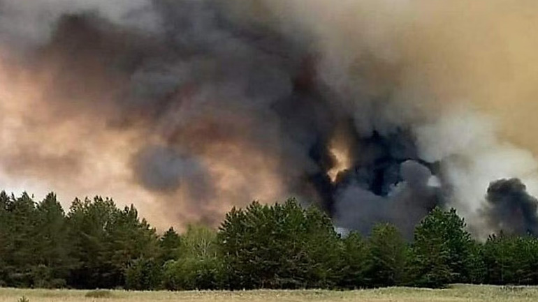 Στους 14 οι νεκροί από τις δασικές πυρκαγιές στο Καζακστάν